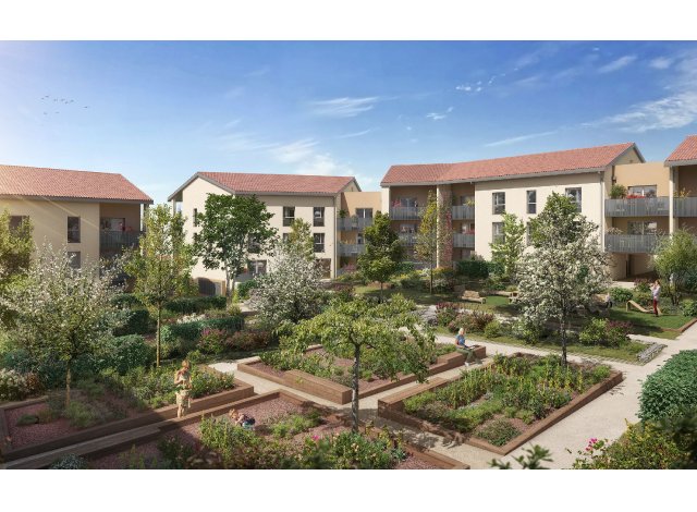 Immobilier basse consommation � Rillieux-la-Pape
