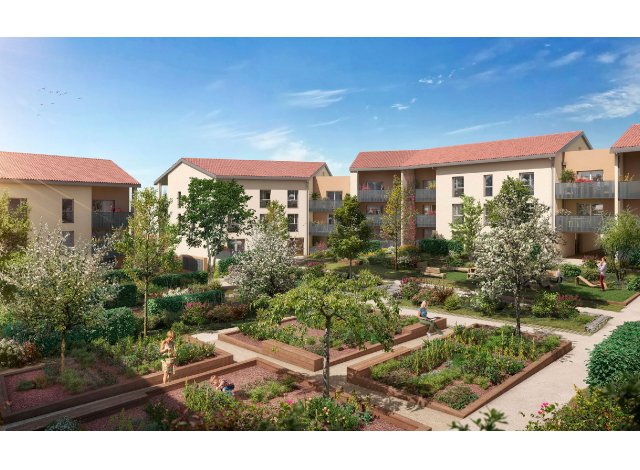 Eco habitat programme Florilla TR1 Rillieux-la-Pape