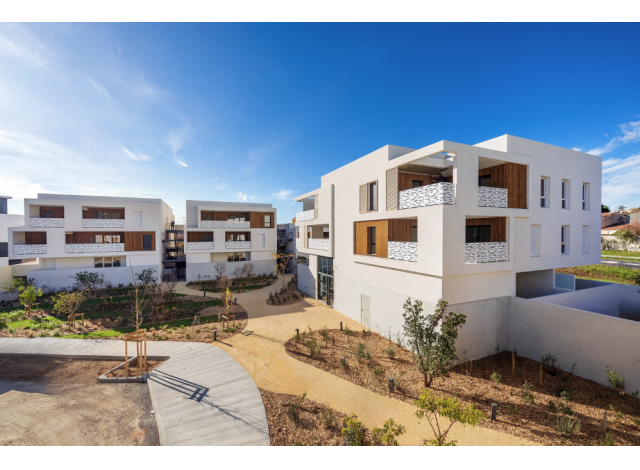 Immobilier basse consommation  Clapiers