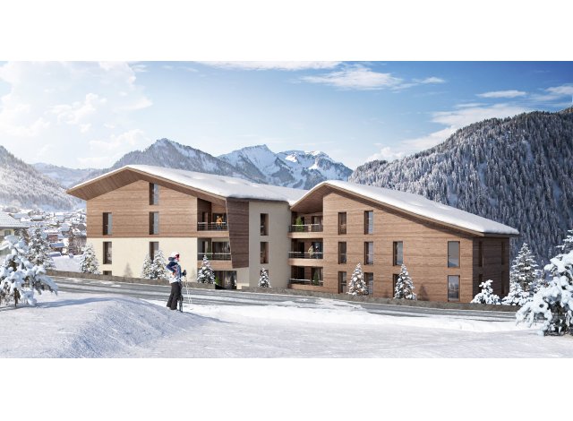 Immobilier pour investir Chatel