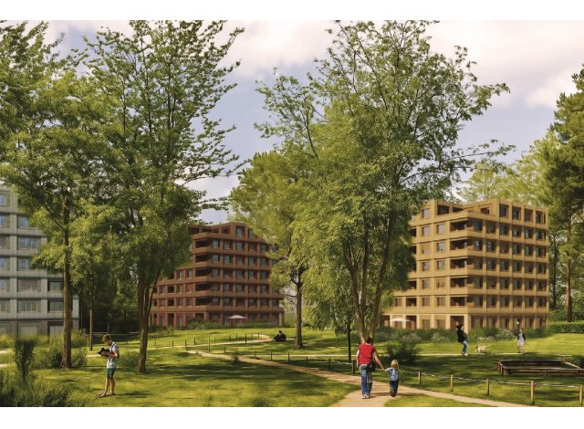 Eco habitat programme Les Iris Massy